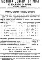 giornale/TO00181640/1901/V.1/00000111