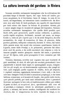 giornale/TO00181640/1901/V.1/00000123