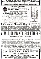 giornale/TO00181640/1901/V.1/00000150