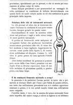 giornale/TO00181640/1901/V.1/00000172