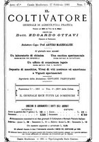 giornale/TO00181640/1901/V.1/00000185