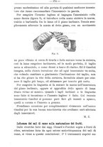 giornale/TO00181640/1901/V.1/00000390