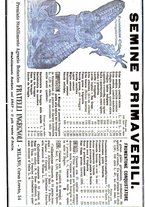 giornale/TO00181640/1901/V.1/00000400