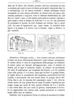 giornale/TO00181640/1901/V.1/00000411