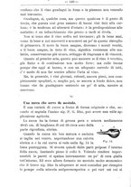 giornale/TO00181640/1901/V.1/00000462