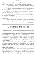 giornale/TO00181640/1901/V.1/00000555