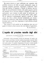 giornale/TO00181640/1901/V.1/00000587