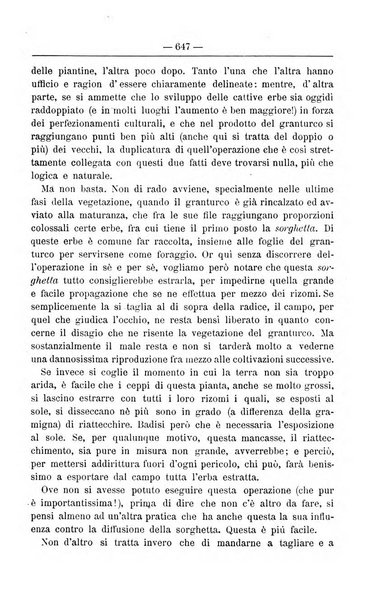 Il coltivatore giornale di agricoltura pratica