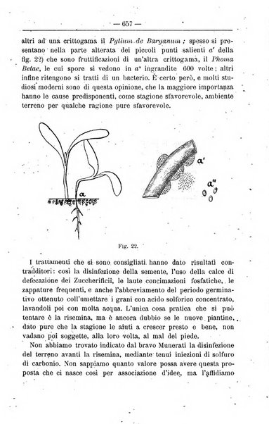 Il coltivatore giornale di agricoltura pratica