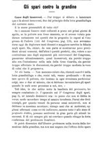 giornale/TO00181640/1901/V.1/00000778