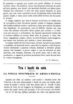 giornale/TO00181640/1901/V.1/00000813