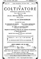 giornale/TO00181640/1901/V.1/00000833