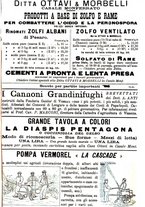 giornale/TO00181640/1901/V.1/00000867