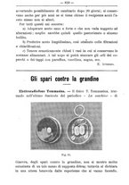 giornale/TO00181640/1901/V.1/00000880