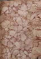 giornale/TO00181640/1903/V.1/00000003