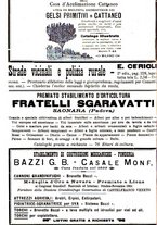 giornale/TO00181640/1903/V.1/00000294