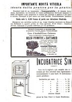 giornale/TO00181640/1903/V.1/00000366