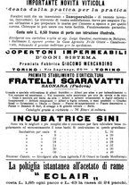giornale/TO00181640/1903/V.1/00000402
