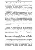 giornale/TO00181640/1903/V.1/00000418