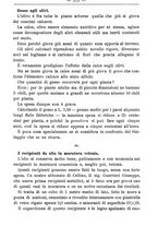 giornale/TO00181640/1903/V.1/00000425