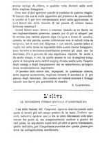 giornale/TO00181640/1903/V.1/00000628