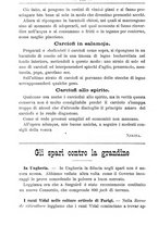 giornale/TO00181640/1903/V.1/00000854