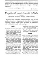 giornale/TO00181640/1903/V.1/00000884