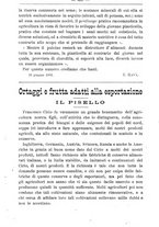 giornale/TO00181640/1903/V.1/00000915