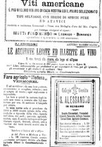 giornale/TO00181640/1903/V.1/00000940