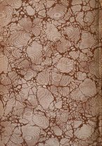 giornale/TO00181640/1903/V.1/00000942