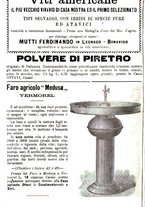 giornale/TO00181640/1903/V.2/00000256