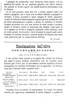 giornale/TO00181640/1903/V.2/00000385