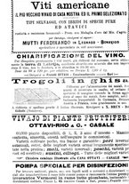 giornale/TO00181640/1903/V.2/00000654