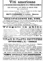 giornale/TO00181640/1903/V.2/00000762