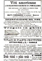 giornale/TO00181640/1903/V.2/00000798