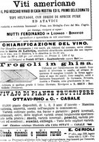 giornale/TO00181640/1903/V.2/00000834