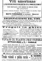 giornale/TO00181640/1903/V.2/00000942