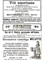 giornale/TO00181640/1904/V.2/00000292
