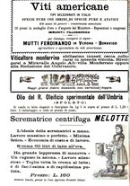 giornale/TO00181640/1904/V.2/00000364