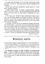 giornale/TO00181640/1905/V.2/00000240