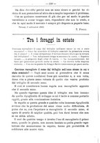 giornale/TO00181640/1905/V.2/00000376