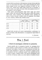 giornale/TO00181640/1905/V.2/00000382