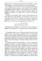 giornale/TO00181640/1905/V.2/00000383