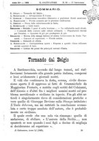 giornale/TO00181640/1905/V.2/00000403