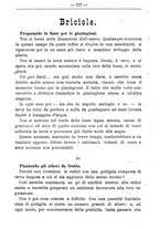 giornale/TO00181640/1905/V.2/00000821