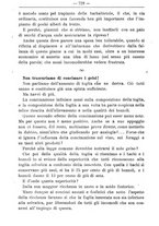 giornale/TO00181640/1905/V.2/00000822