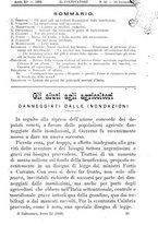 giornale/TO00181640/1905/V.2/00000835