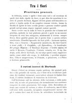 giornale/TO00181640/1906/V.1/00000306