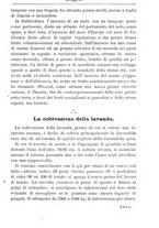 giornale/TO00181640/1906/V.1/00000307