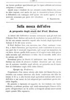 giornale/TO00181640/1906/V.1/00000371